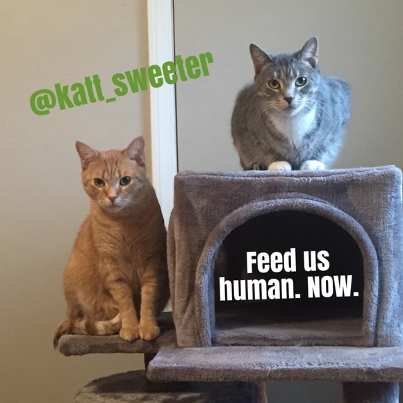 GAME CLOSED PLS LIKE NEW LISTING⬅️TY!😃 - Picture 13 of 16